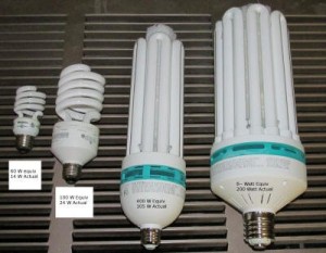 CFL sizes compared