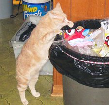 Fred trashing