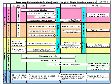 Roadmap for immediate actions