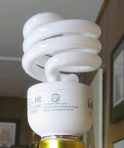 100 watt CFL